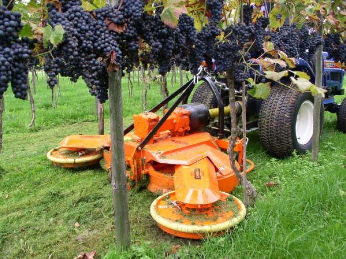Faucheuses viticoles avec 2 disques mobiles - modèle FV2